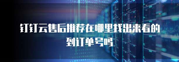 钉钉云售后推荐在哪里找出来看的到订单号吗