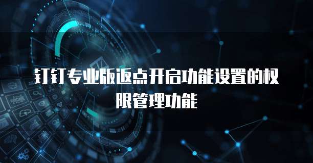 钉钉专业版返点开启功能设置的权限管理功能
