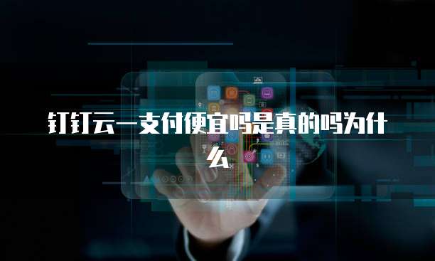 钉钉云一支付便宜吗是真的吗为什么