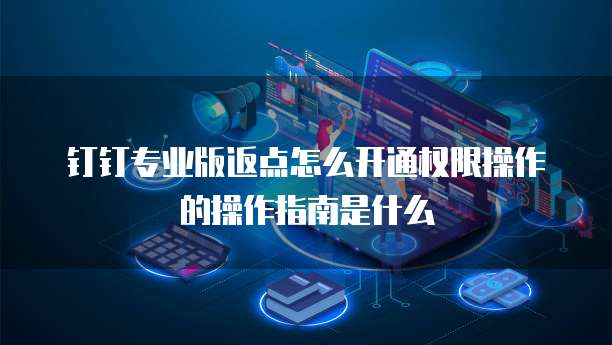 钉钉专业版返点怎么开通权限操作的操作指南是什么