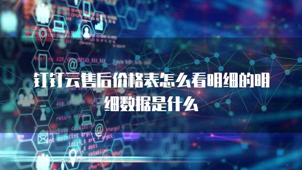 钉钉云售后价格表怎么看明细的明细数据是什么