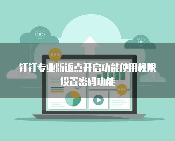 钉钉专业版返点开启功能使用权限设置密码功能