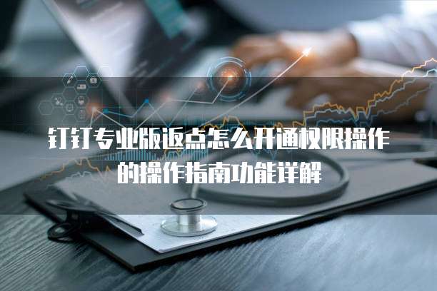 钉钉专业版返点怎么开通权限操作的操作指南功能详解
