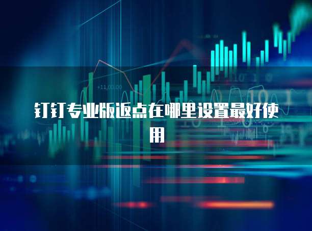 钉钉专业版返点在哪里设置最好使用