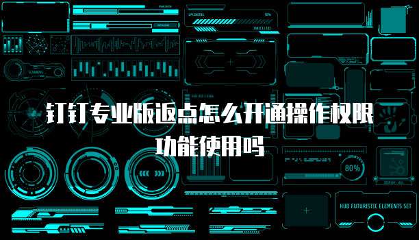 钉钉专业版返点怎么开通操作权限功能使用吗
