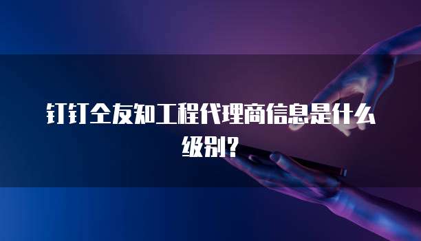 钉钉仝友知工程代理商信息是什么级别?