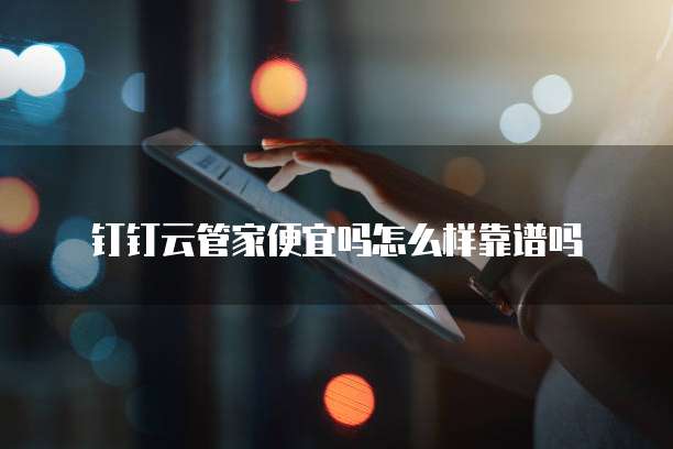 钉钉云管家便宜吗怎么样靠谱吗