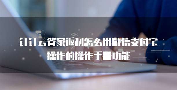 钉钉云管家返利怎么用微信支付宝操作的操作手册功能