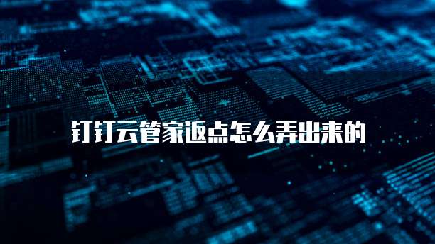 钉钉云管家返点怎么弄出来的
