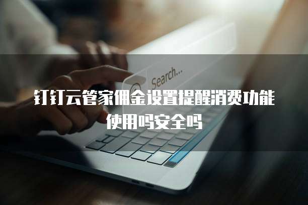 钉钉云管家佣金设置提醒消费功能使用吗安全吗