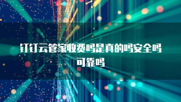 钉钉云管家收费吗是真的吗安全吗可靠吗