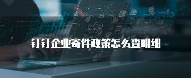 钉钉企业寄件政策怎么查明细