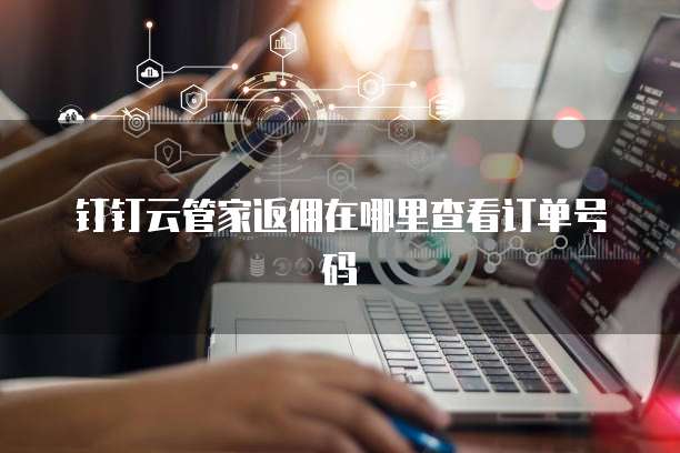 钉钉云管家返佣在哪里查看订单号码