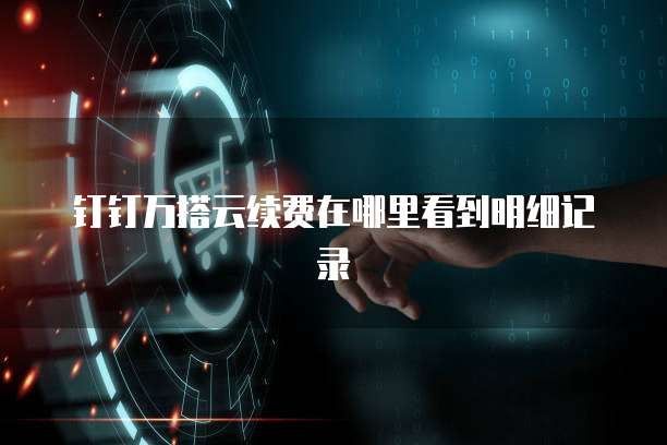 钉钉万搭云续费在哪里看到明细记录