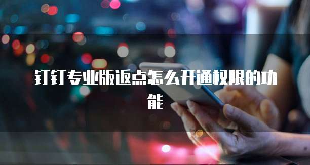钉钉专业版返点怎么开通权限的功能