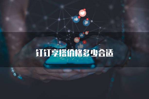 钉钉享搭价格多少合适