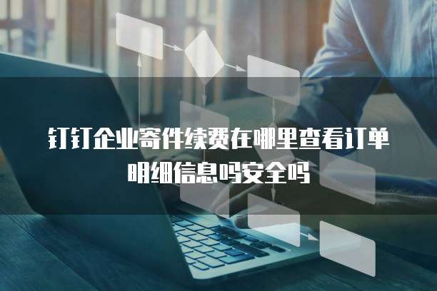钉钉企业寄件续费在哪里查看订单明细信息吗安全吗