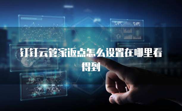 钉钉云管家返点怎么设置在哪里看得到
