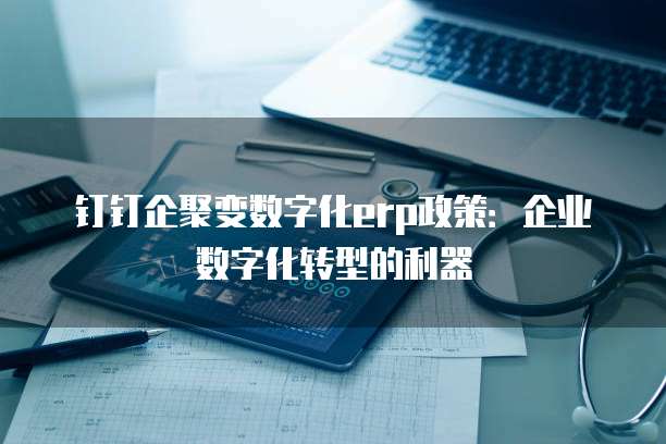 钉钉企聚变数字化erp政策:企业数字化转型的利器
