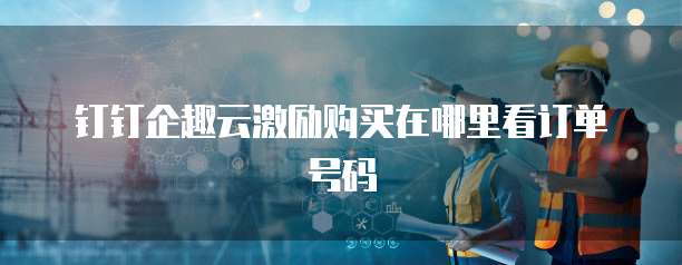 钉钉企趣云激励购买在哪里看订单号码