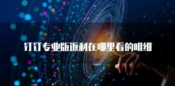 钉钉专业版返利在哪里看的明细