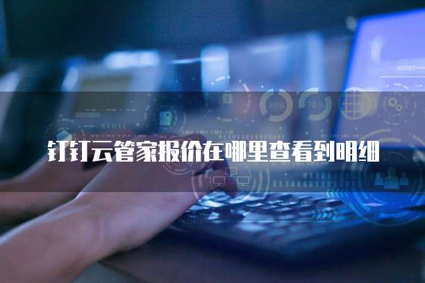 钉钉云管家报价在哪里查看到明细