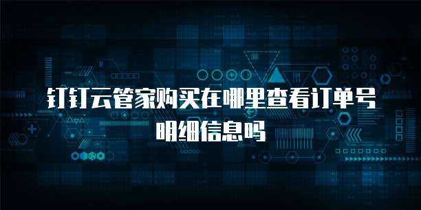 钉钉云管家购买在哪里查看订单号明细信息吗