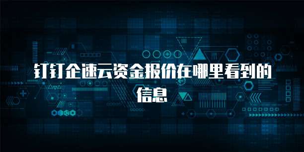 钉钉企速云资金报价在哪里看到的信息