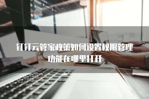 钉钉云管家政策如何设置权限管理功能在哪里打开