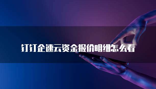 钉钉企速云资金报价明细怎么看