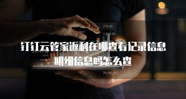 钉钉云管家返利在哪查看记录信息明细信息吗怎么查