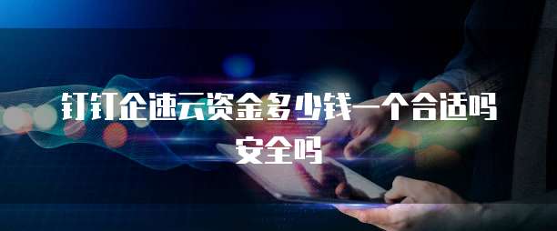 钉钉企速云资金多少钱一个合适吗安全吗