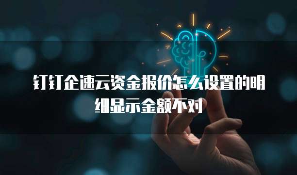 钉钉企速云资金报价怎么设置的明细显示金额不对