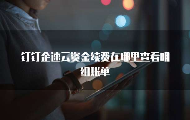 钉钉企速云资金续费在哪里查看明细账单