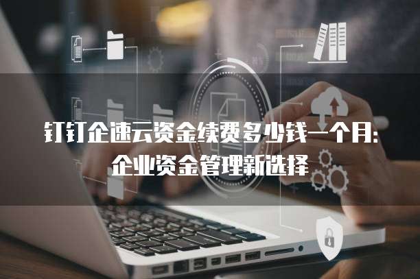 钉钉企速云资金续费多少钱一个月:企业资金管理新选择