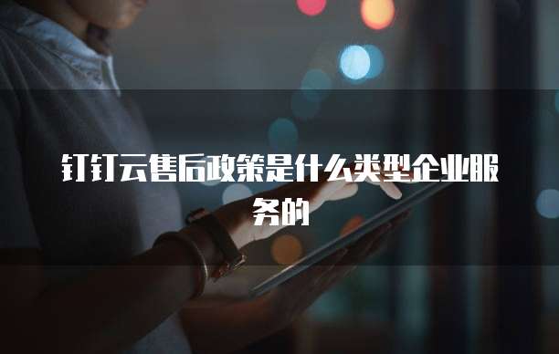 钉钉云售后政策是什么类型企业服务的
