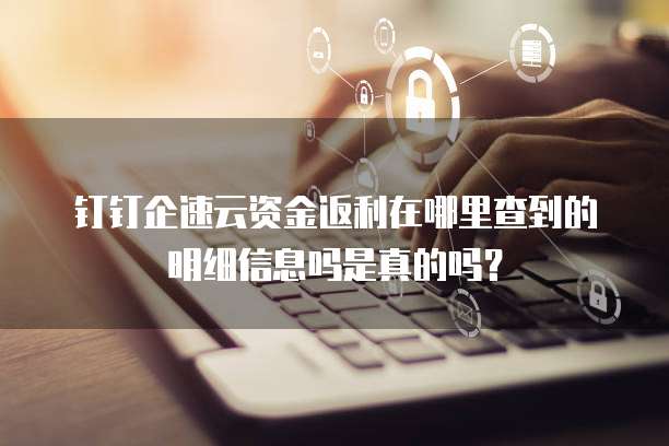 钉钉企速云资金返利在哪里查到的明细信息吗是真的吗？