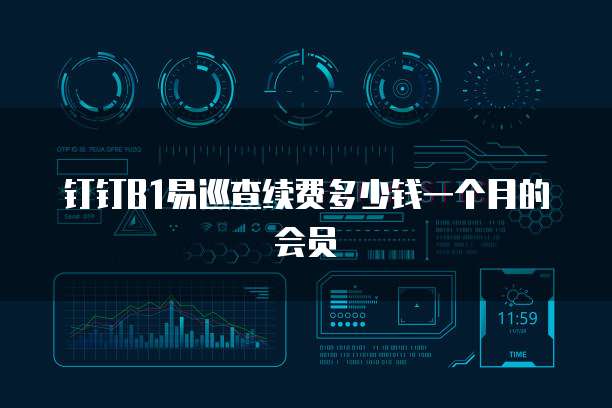 钉钉B1易巡查续费多少钱一个月的会员