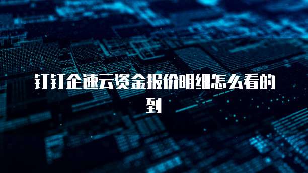 钉钉企速云资金报价明细怎么看的到