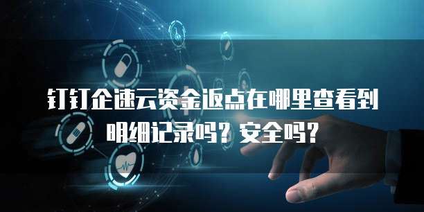 钉钉企速云资金返点在哪里查看到明细记录吗?安全吗?