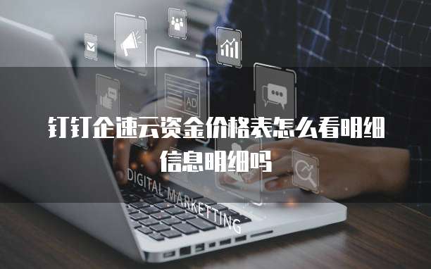 钉钉企速云资金价格表怎么看明细信息明细吗