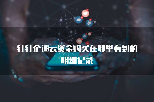 钉钉企速云资金购买在哪里看到的明细记录