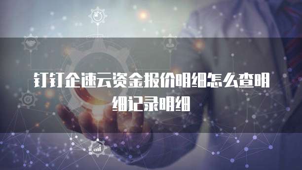 钉钉企速云资金报价明细怎么查明细记录明细