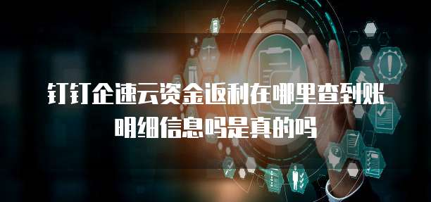 钉钉企速云资金返利在哪里查到账明细信息吗是真的吗