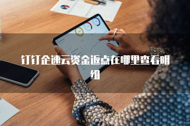 钉钉企速云资金返点在哪里查看明细