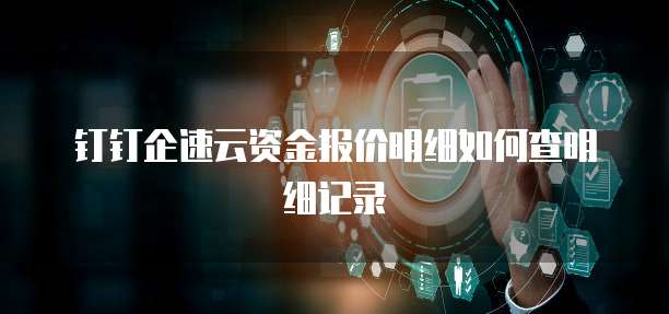 钉钉企速云资金报价明细如何查明细记录