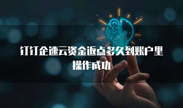 钉钉企速云资金返点多久到账户里操作成功