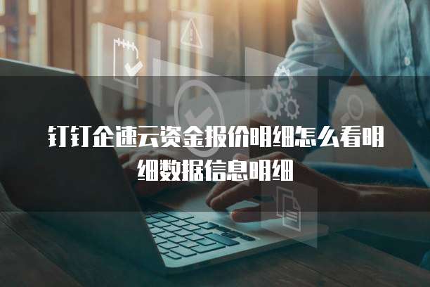 钉钉企速云资金报价明细怎么看明细数据信息明细