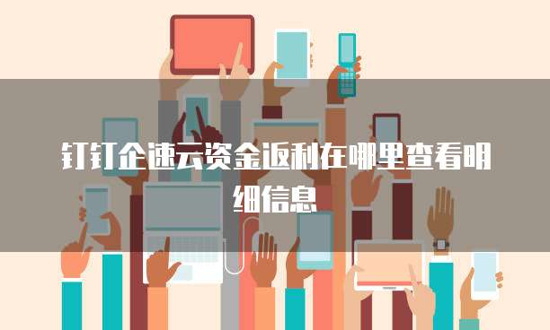 钉钉企速云资金返利在哪里查看明细信息