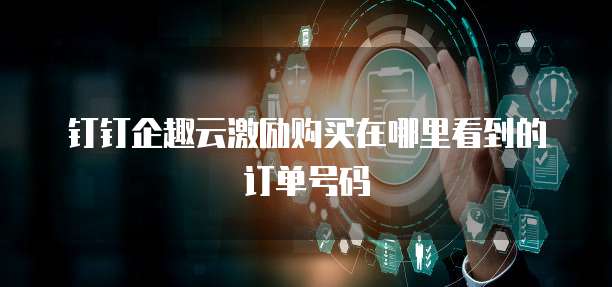 钉钉企趣云激励购买在哪里看到的订单号码